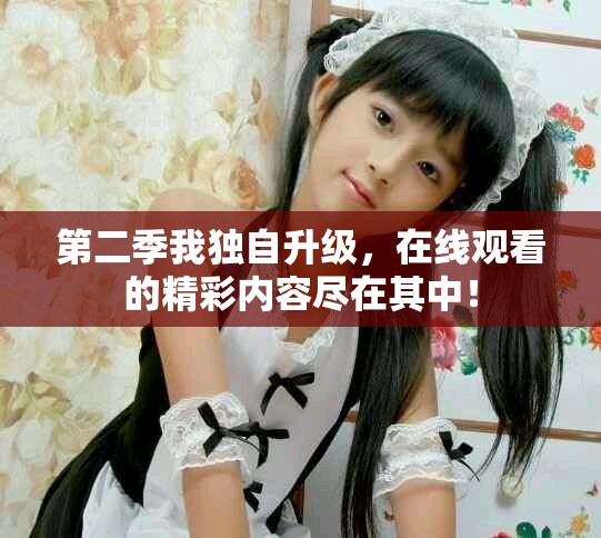 第二季我独自升级，在线观看的精彩内容尽在其中！