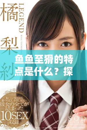 鱼鱼至猾的特点是什么？探索vk平台中的鱼鱼至猾的世界。