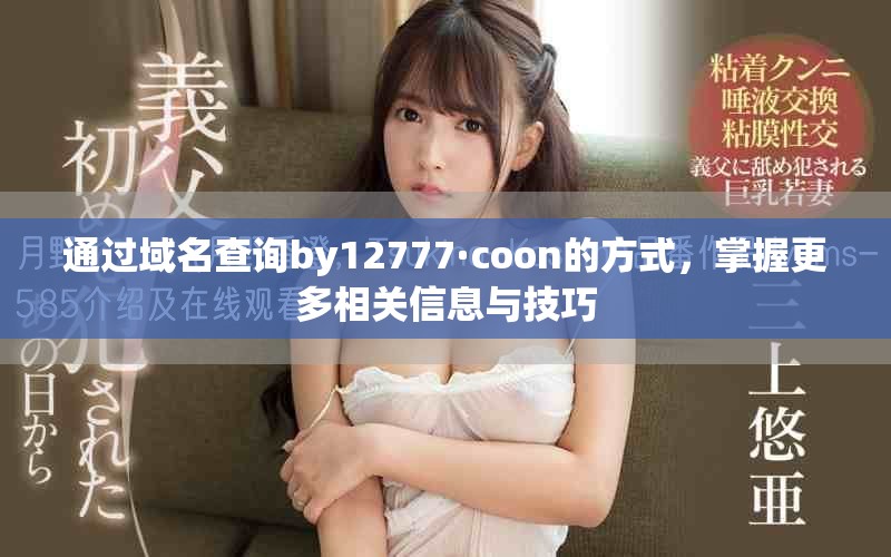 通过域名查询by12777·coon的方式，掌握更多相关信息与技巧