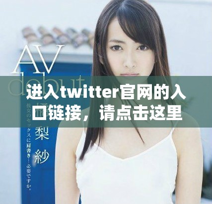 进入twitter官网的入口链接，请点击这里获取相关信息