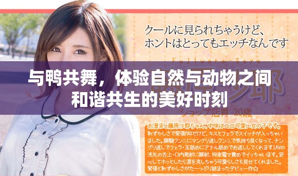 与鸭共舞，体验自然与动物之间和谐共生的美好时刻