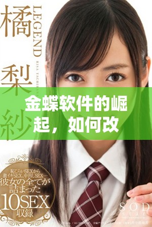 金蝶软件的崛起，如何改变了企业管理的未来方向