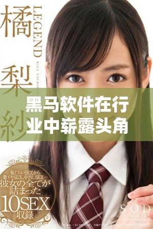 黑马软件在行业中崭露头角，成为众多企业青睐的选择