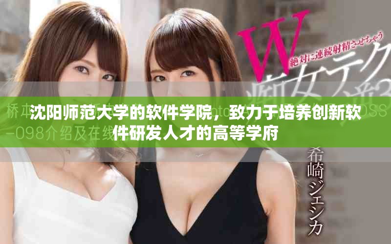 沈阳师范大学的软件学院，致力于培养创新软件研发人才的高等学府