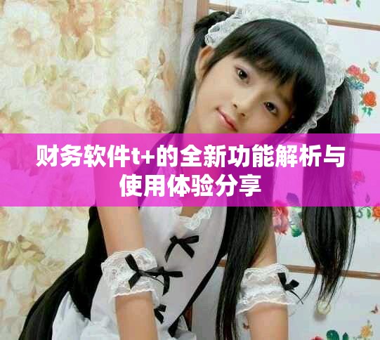 财务软件t+的全新功能解析与使用体验分享