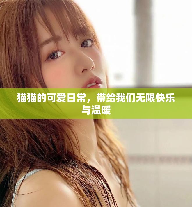 猫猫的可爱日常，带给我们无限快乐与温暖