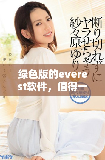 绿色版的everest软件，值得一试的全新体验和功能。