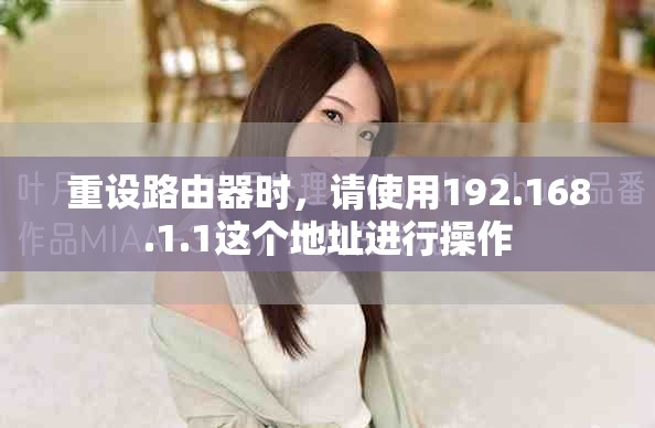 重设路由器时，请使用192.168.1.1这个地址进行操作