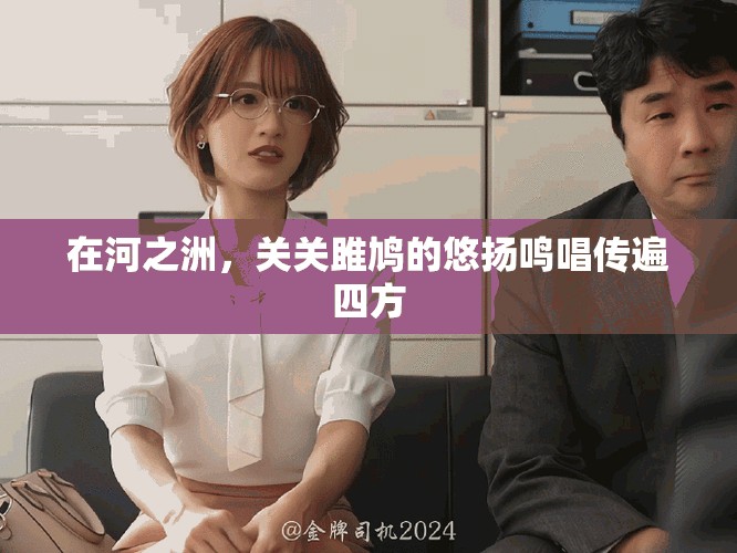 在河之洲，关关雎鸠的悠扬鸣唱传遍四方