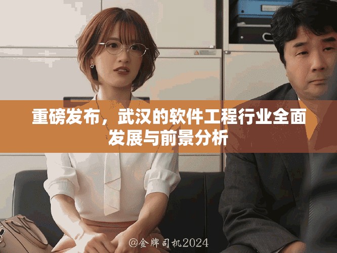 重磅发布，武汉的软件工程行业全面发展与前景分析