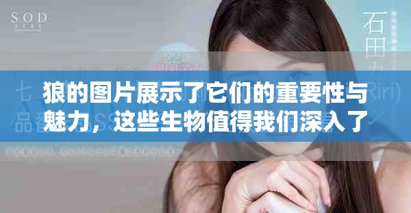 狼的图片展示了它们的重要性与魅力，这些生物值得我们深入了解与保护。