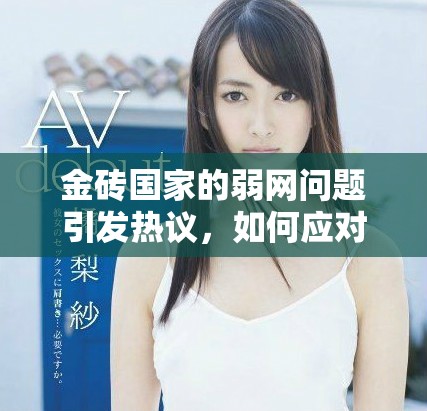 金砖国家的弱网问题引发热议，如何应对这一挑战成为焦点话题