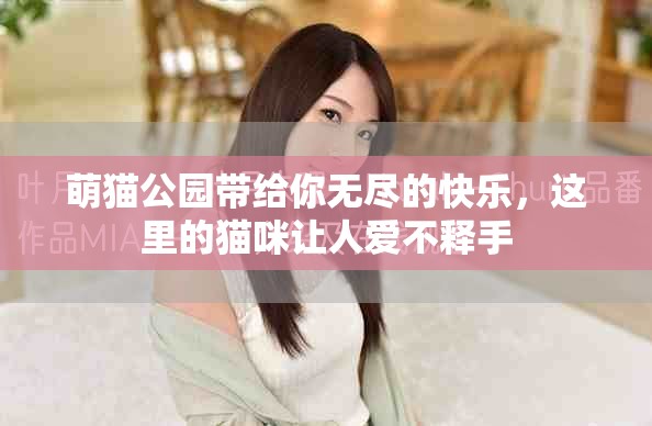 萌猫公园带给你无尽的快乐，这里的猫咪让人爱不释手