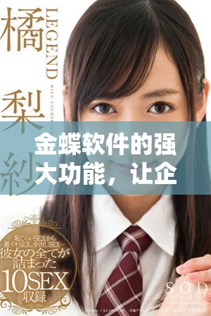 金蝶软件的强大功能，让企业管理变得更高效与智能