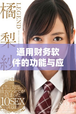 通用财务软件的功能与应用，探索其在企业管理中的重要性与优势
