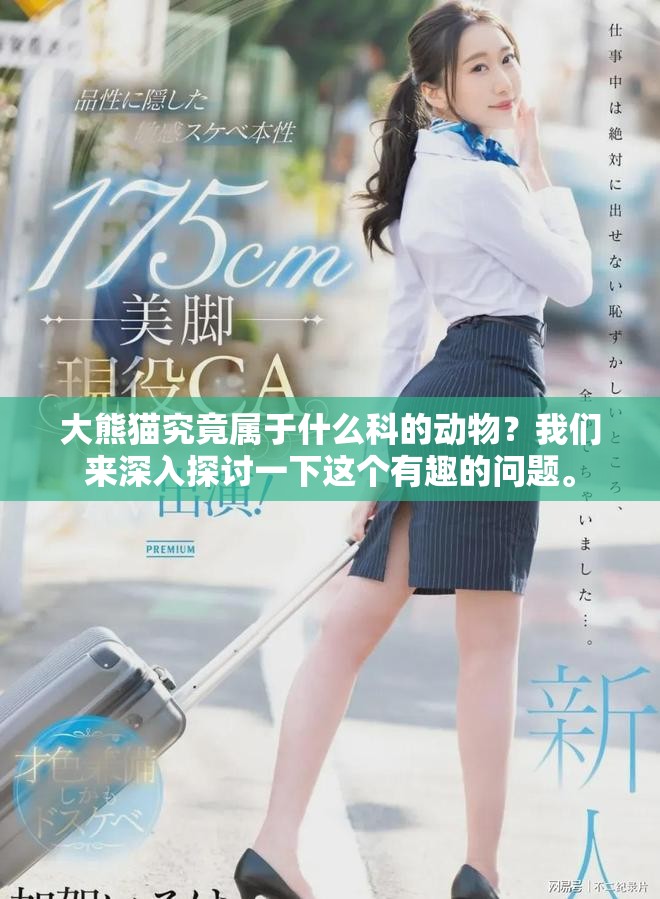 大熊猫究竟属于什么科的动物？我们来深入探讨一下这个有趣的问题。