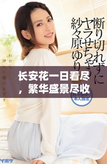 长安花一日看尽，繁华盛景尽收眼底