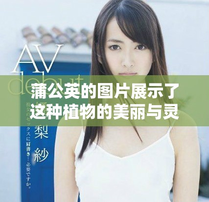 蒲公英的图片展示了这种植物的美丽与灵动，令人感受到自然的魅力与温馨。