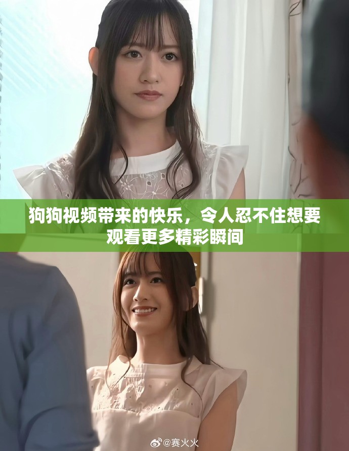 狗狗视频带来的快乐，令人忍不住想要观看更多精彩瞬间