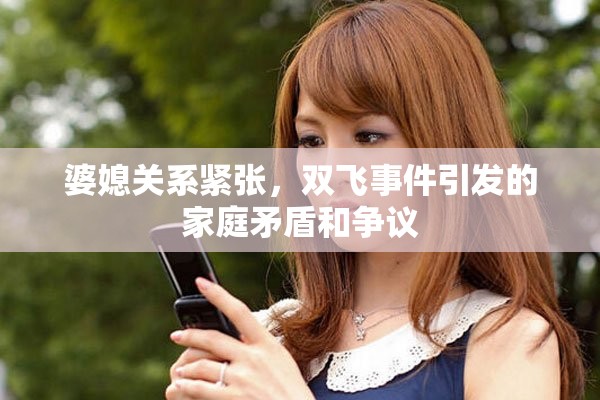 婆媳关系紧张，双飞事件引发的家庭矛盾和争议