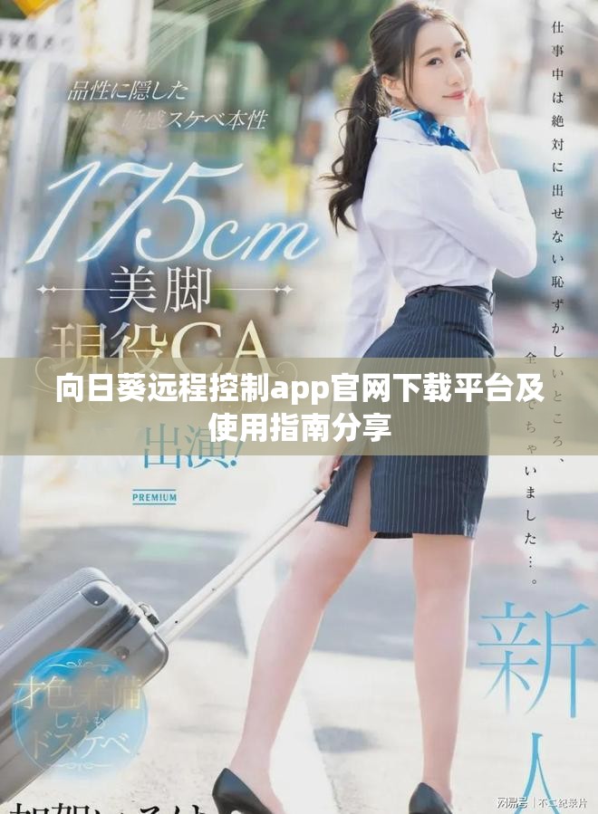 向日葵远程控制app官网下载平台及使用指南分享