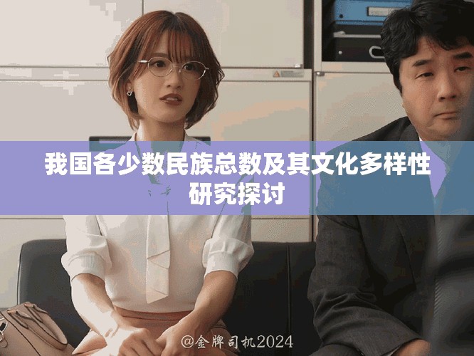 我国各少数民族总数及其文化多样性研究探讨