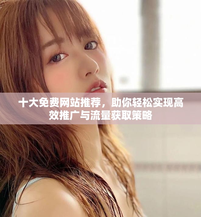 十大免费网站推荐，助你轻松实现高效推广与流量获取策略
