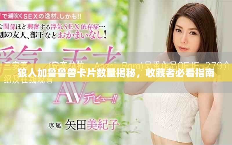 狼人加鲁鲁兽卡片数量揭秘，收藏者必看指南