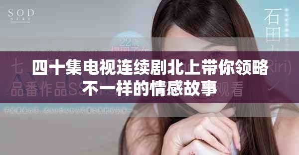 四十集电视连续剧北上带你领略不一样的情感故事