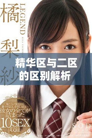 精华区与二区的区别解析 88888金三角背后的秘密揭秘
