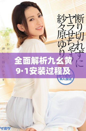 全面解析九幺黄9·1安装过程及其注意事项与实用技巧