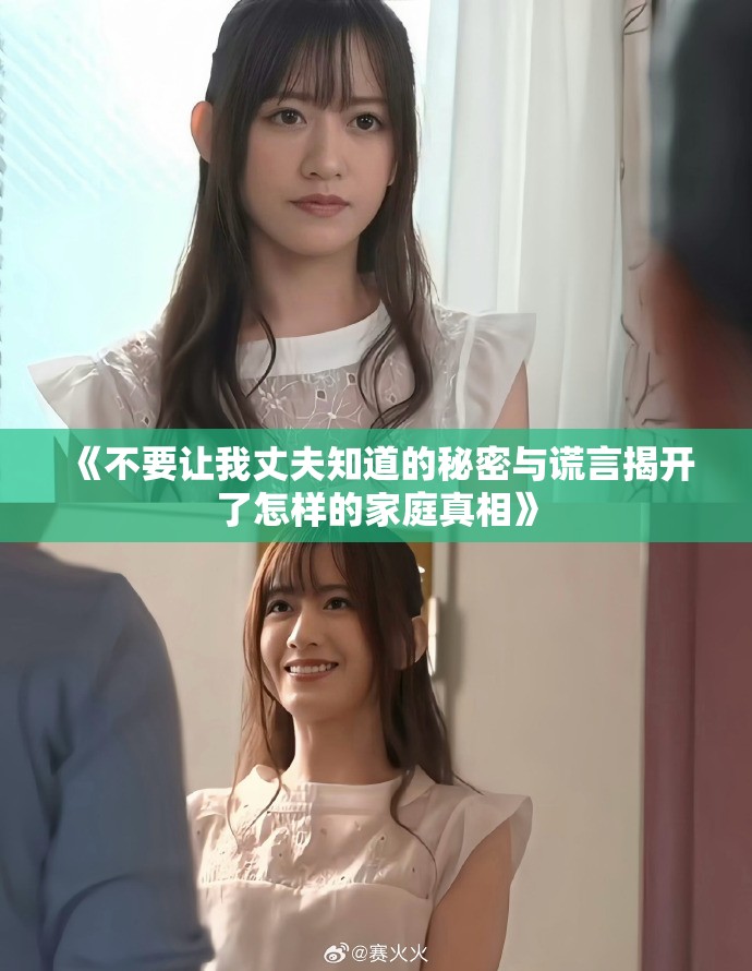 《不要让我丈夫知道的秘密与谎言揭开了怎样的家庭真相》