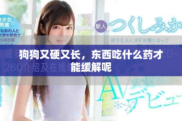 狗狗又硬又长，东西吃什么药才能缓解呢