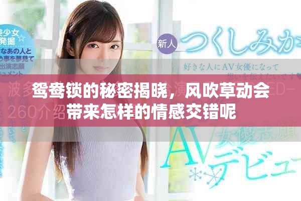 鸳鸯锁的秘密揭晓，风吹草动会带来怎样的情感交错呢