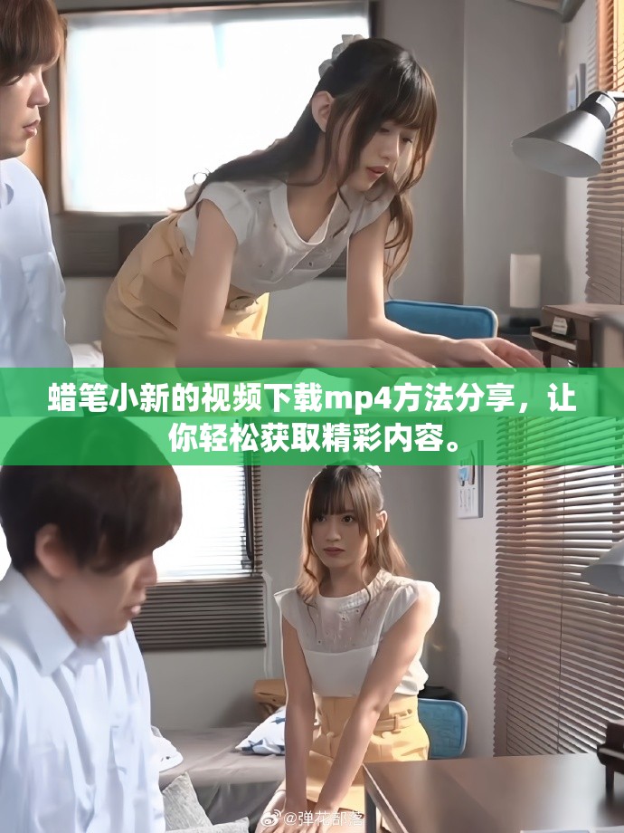 蜡笔小新的视频下载mp4方法分享，让你轻松获取精彩内容。