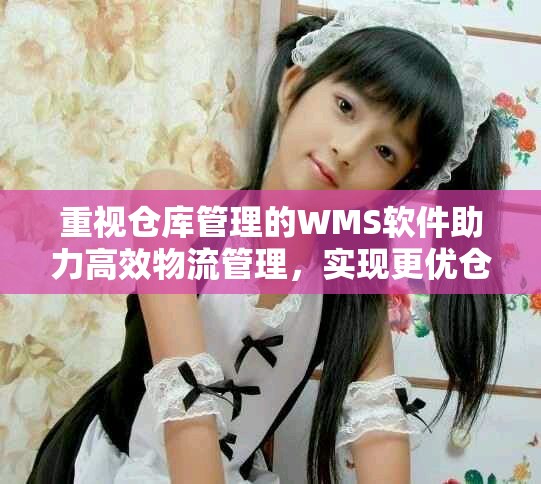 重视仓库管理的WMS软件助力高效物流管理，实现更优仓储运作方案
