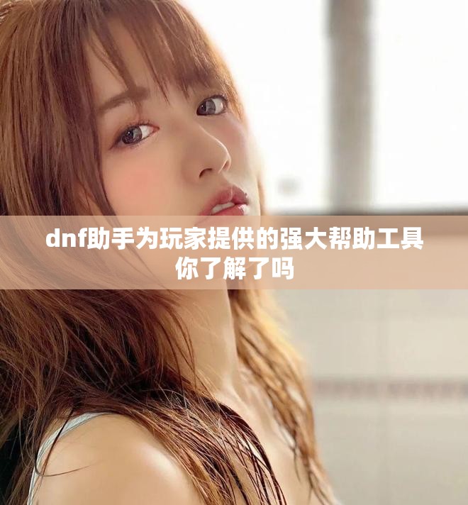 dnf助手为玩家提供的强大帮助工具你了解了吗