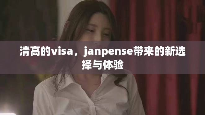 清高的visa，janpense带来的新选择与体验