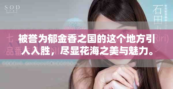 被誉为郁金香之国的这个地方引人入胜，尽显花海之美与魅力。