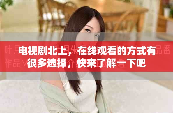 电视剧北上，在线观看的方式有很多选择，快来了解一下吧