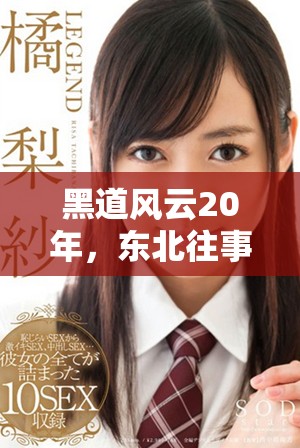 黑道风云20年，东北往事的真实故事分享与下载合集