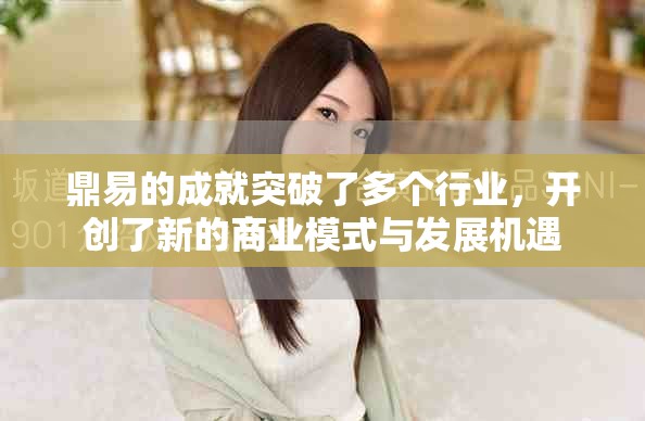 鼎易的成就突破了多个行业，开创了新的商业模式与发展机遇