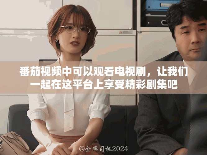 番茄视频中可以观看电视剧，让我们一起在这平台上享受精彩剧集吧
