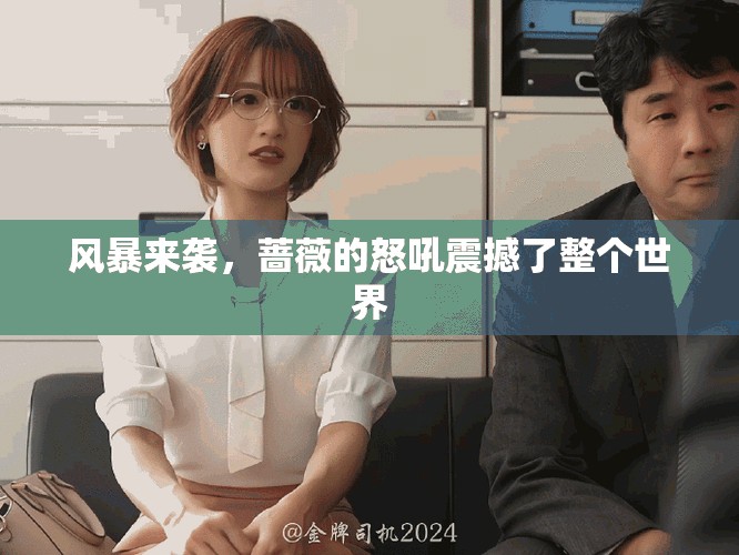 风暴来袭，蔷薇的怒吼震撼了整个世界