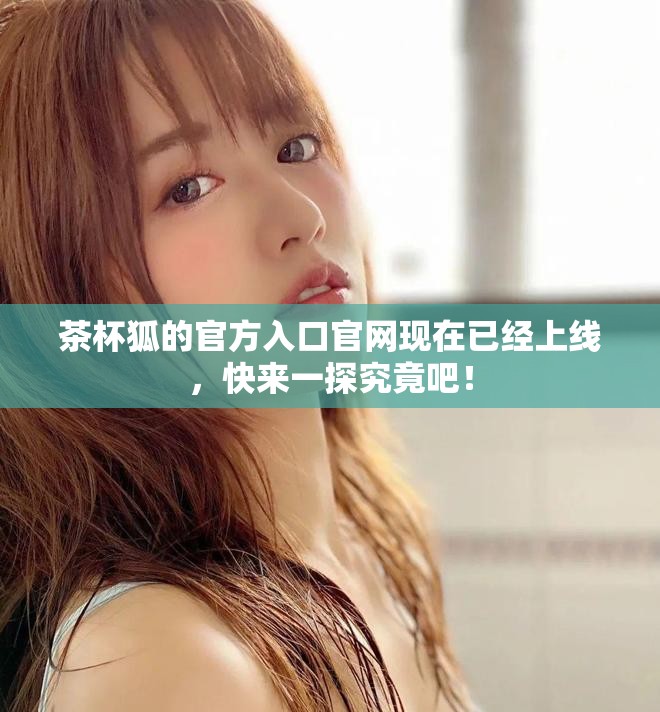 茶杯狐的官方入口官网现在已经上线，快来一探究竟吧！