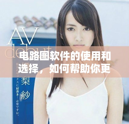 电路图软件的使用和选择，如何帮助你更好地绘制电路图