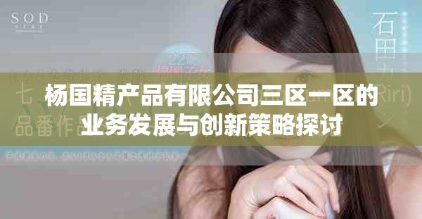 杨国精产品有限公司三区一区的业务发展与创新策略探讨