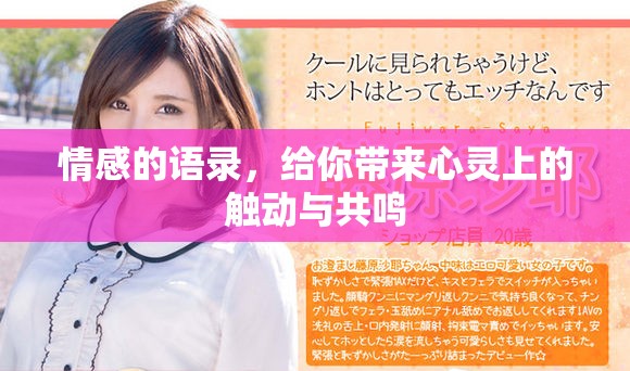 情感的语录，给你带来心灵上的触动与共鸣