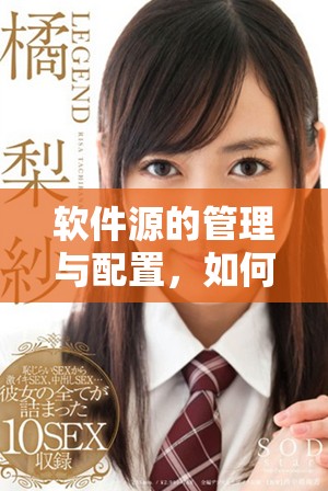 软件源的管理与配置，如何优化使用的技巧与方法