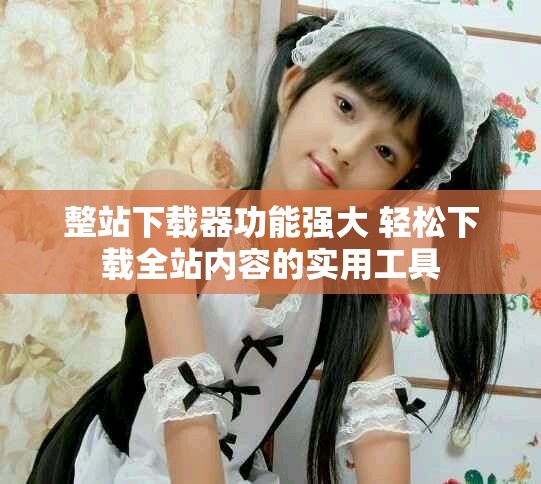 整站下载器功能强大 轻松下载全站内容的实用工具